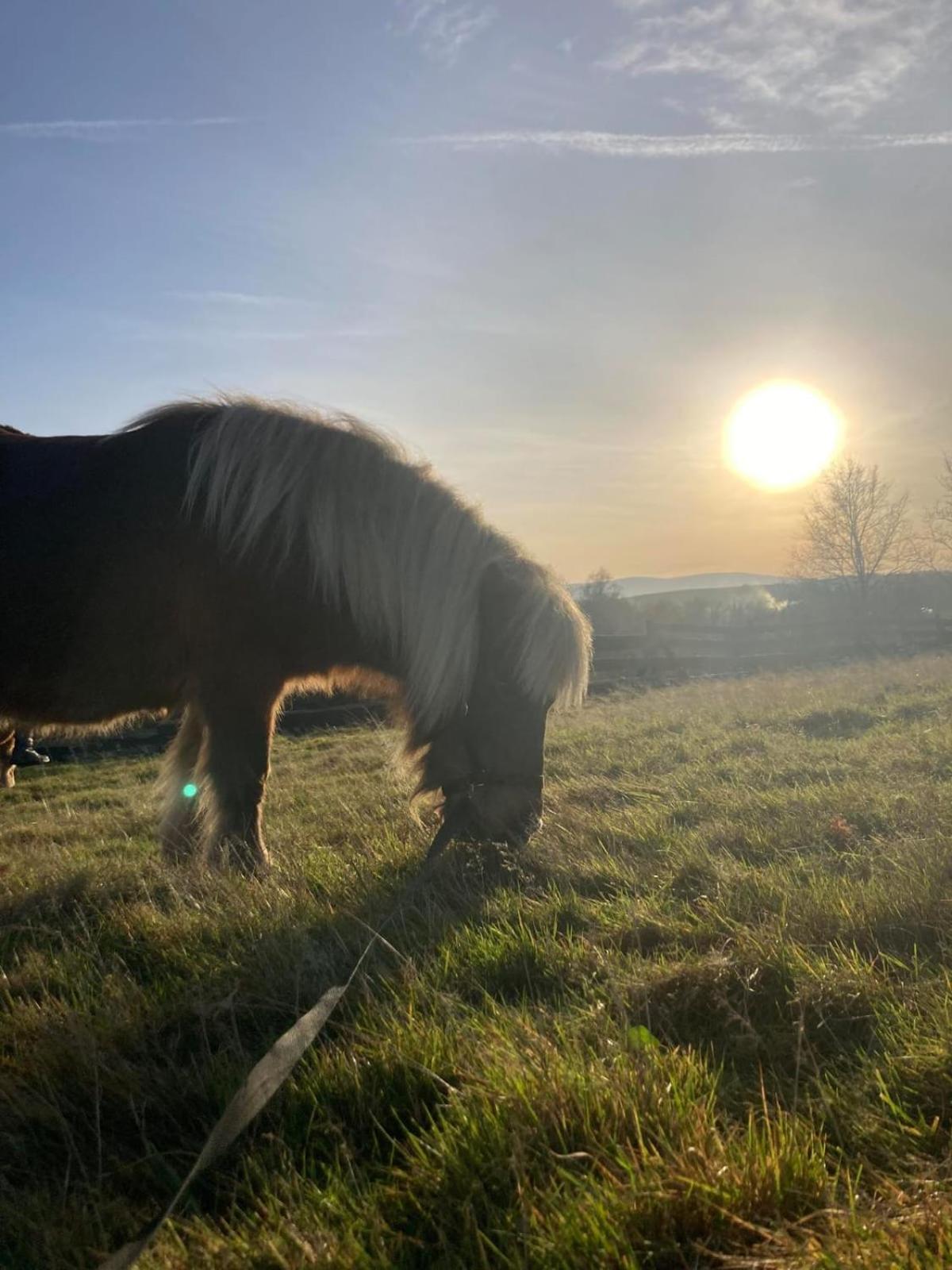 Na Uboczu Gryfów Slaski Exterior foto