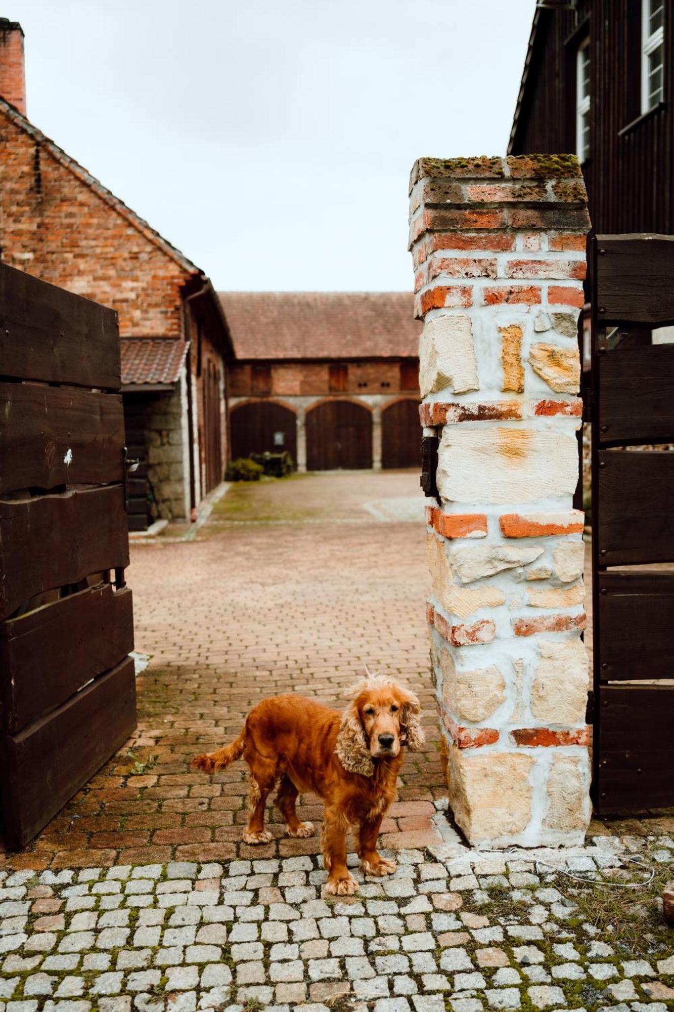 Na Uboczu Gryfów Slaski Exterior foto