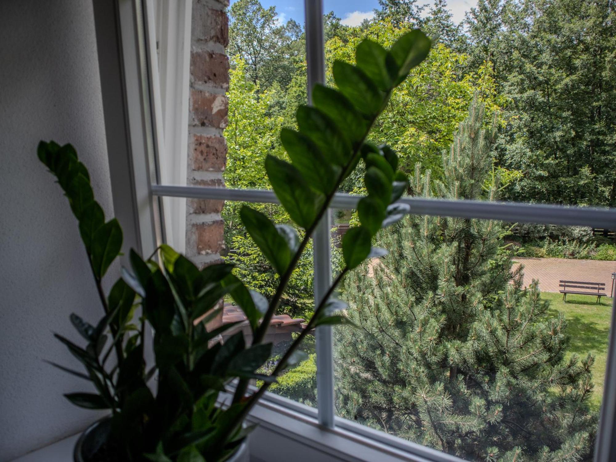 Na Uboczu Gryfów Slaski Quarto foto